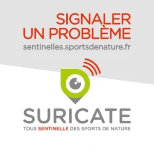 logo Suricate