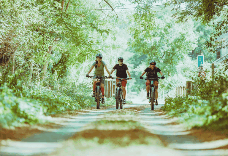 Photo Inauguration VV Saint Amadou